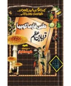 Tibbi-Pharmacopoeia-Qarabadeen-Azam Tibbi Pharmacopoeia Qarabadeen Azam Book - The Ultimate Guide to Unani Medicine