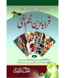 Qaraba Deen Najam ul Ghani by Hakeem Najum ul Ghani