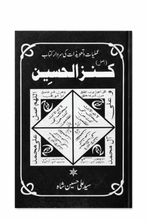 ChatGPT Image Feb 26, 2026, 12_51_54 PM /. Kanz ul Hussain ./ By Syed Ali Hussain Shah..